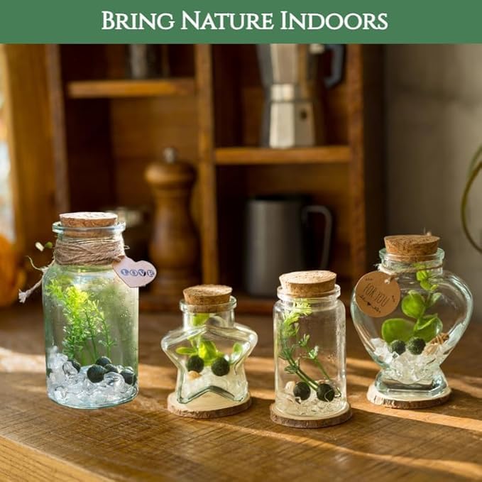 Moss Pebbles Balls Heart Glass Terrarium Kit with 2Pcs Small Moss Balls, Lucky White Crystal, Artificial Plant for Tabletop Decoration