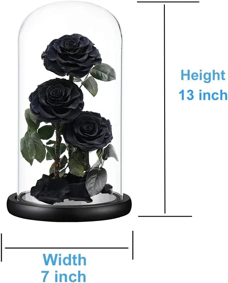 Preserved Roses Handmade Preserved Flowers in Glass Dome, Black Roses Never Withered, Birthday Gifts for Her (13 inch) - Handmade Lifestyle Shop