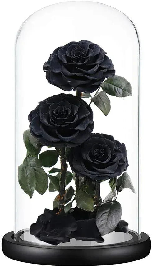 Preserved Roses Handmade Preserved Flowers in Glass Dome, Black Roses Never Withered, Birthday Gifts for Her (13 inch) - Handmade Lifestyle Shop