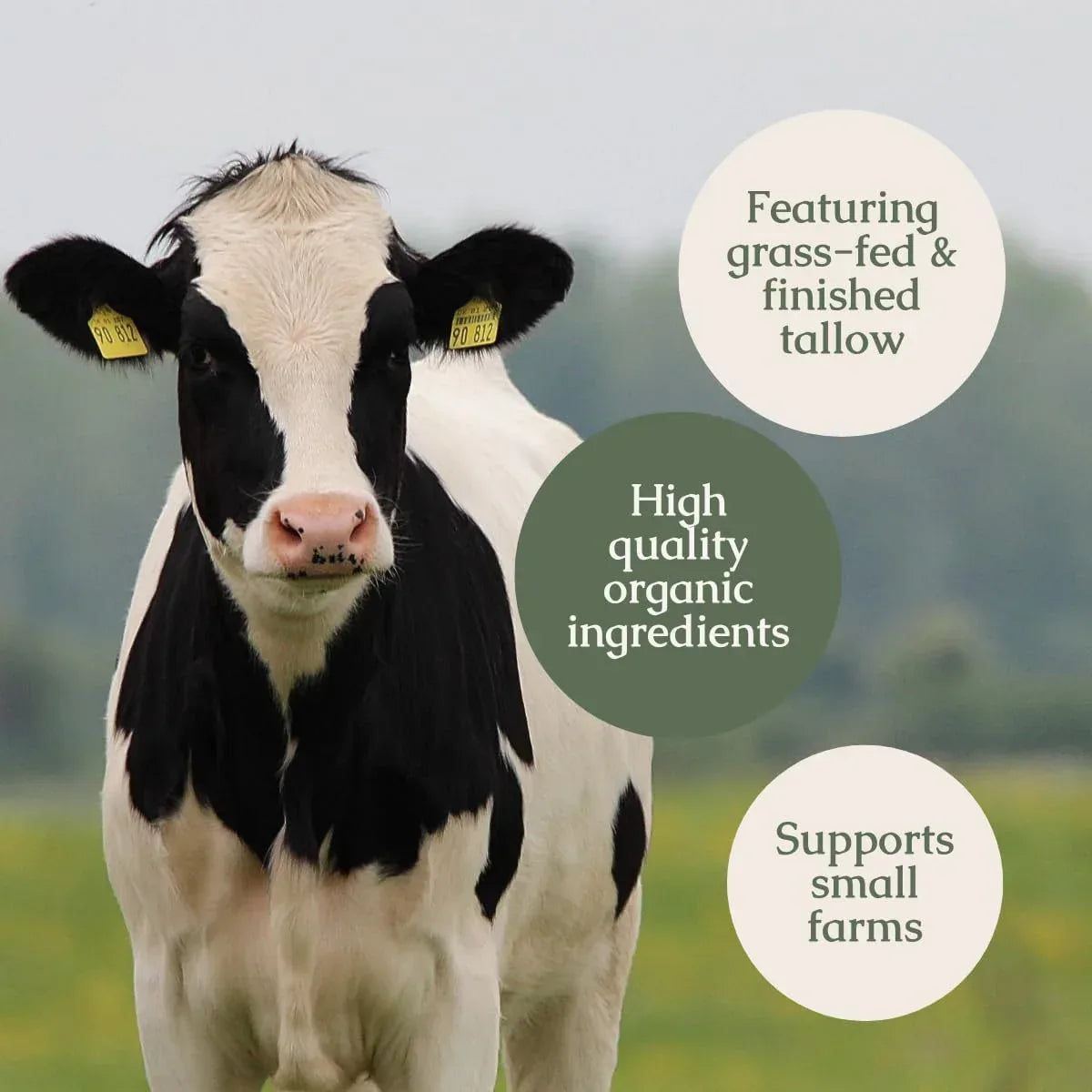 Hearth and Homestead: Handmade Wild Bloom Bio-Active Tallow Face Balm/Cream with Blue Tansy - Hydrate, Nourish, and Protect Skin - .7 oz - Handmade Lifestyle Shop