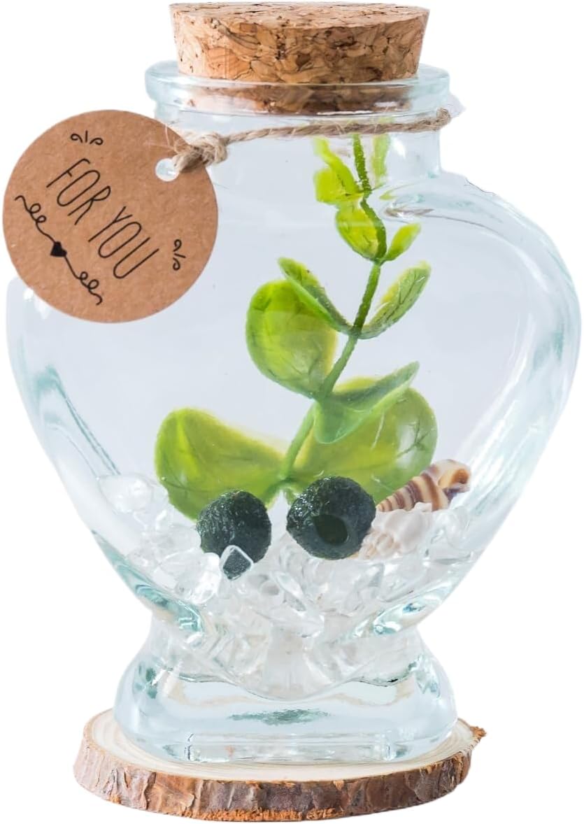 Moss Pebbles Balls Heart Glass Terrarium Kit with 2Pcs Small Moss Balls, Lucky White Crystal, Artificial Plant for Tabletop Decoration