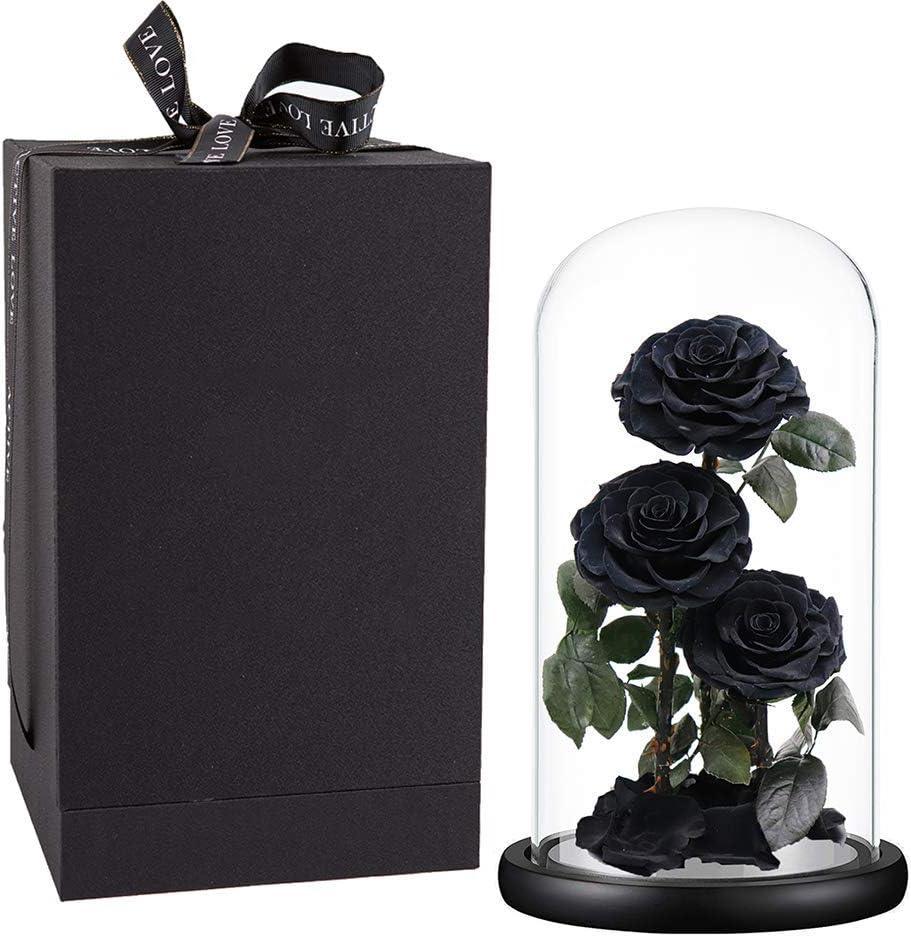 Preserved Roses Handmade Preserved Flowers in Glass Dome, Black Roses Never Withered, Birthday Gifts for Her (13 inch) - Handmade Lifestyle Shop