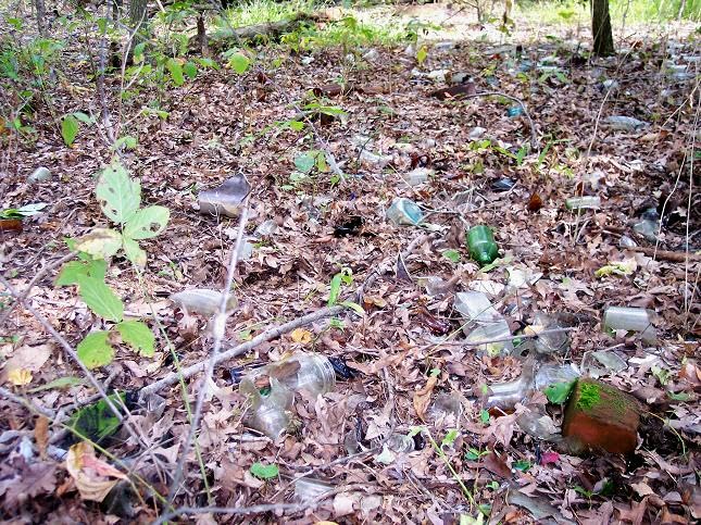 Bottled Up Designs Handmade Vintage Lace Leverback Earrings, Sterling Silver, Eco Friendly, Made in USA, Birthday Gifts, Mothers Day, Women, Anniversary