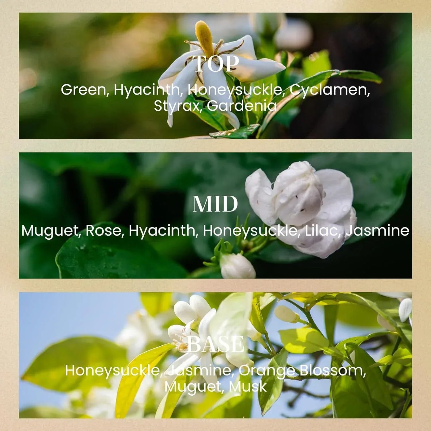 M&SENSE Sage Eucalyptus Candles for Home Scented, 2 Wick 12.7oz Soy Wax Candles Non Toxic,70 Hours Long Burning,Christmas Candles Gift for Stress Relief, Meditation, Yoga - Handmade Lifestyle Shop