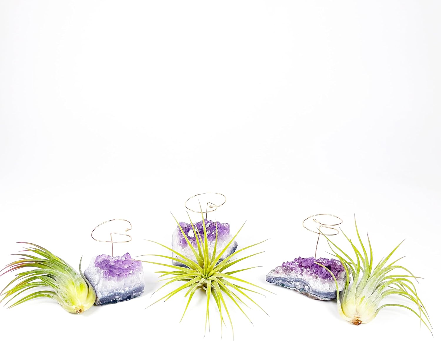 Set of 3 Mini Amethyst Crystal Air Plant Holders – Includes Healthy Tillandsia, Ready-to-Gift Home Décor for Women, Birthdays and Housewarming