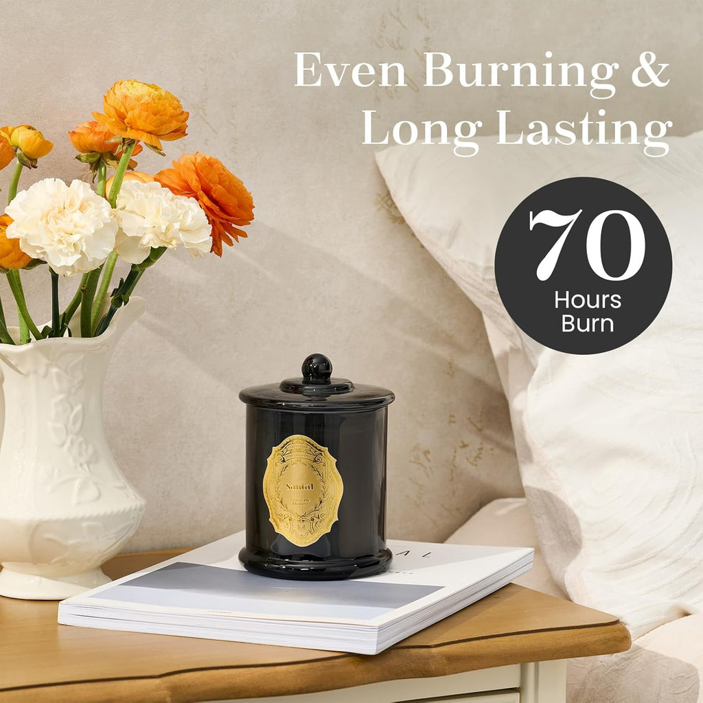 M&SENSE Sage Eucalyptus Candles for Home Scented, 2 Wick 12.7oz Soy Wax Candles Non Toxic,70 Hours Long Burning,Christmas Candles Gift for Stress Relief, Meditation, Yoga