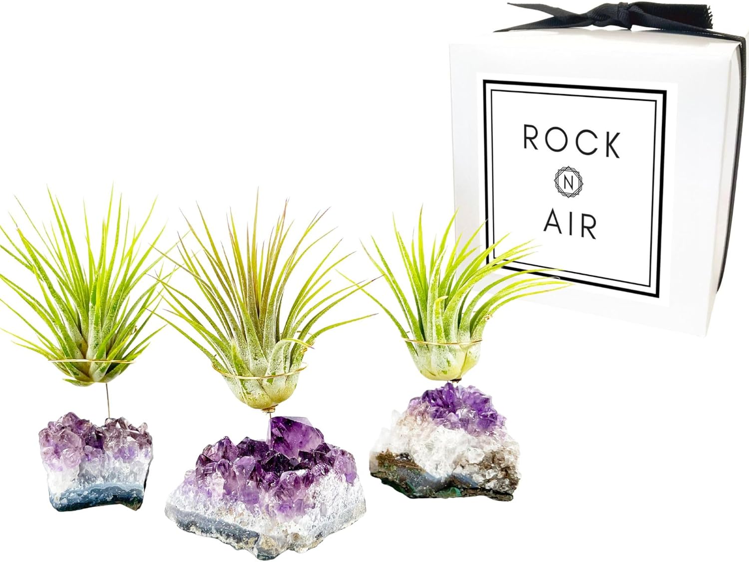 Set of 3 Mini Amethyst Crystal Air Plant Holders – Includes Healthy Tillandsia, Ready-to-Gift Home Décor for Women, Birthdays and Housewarming