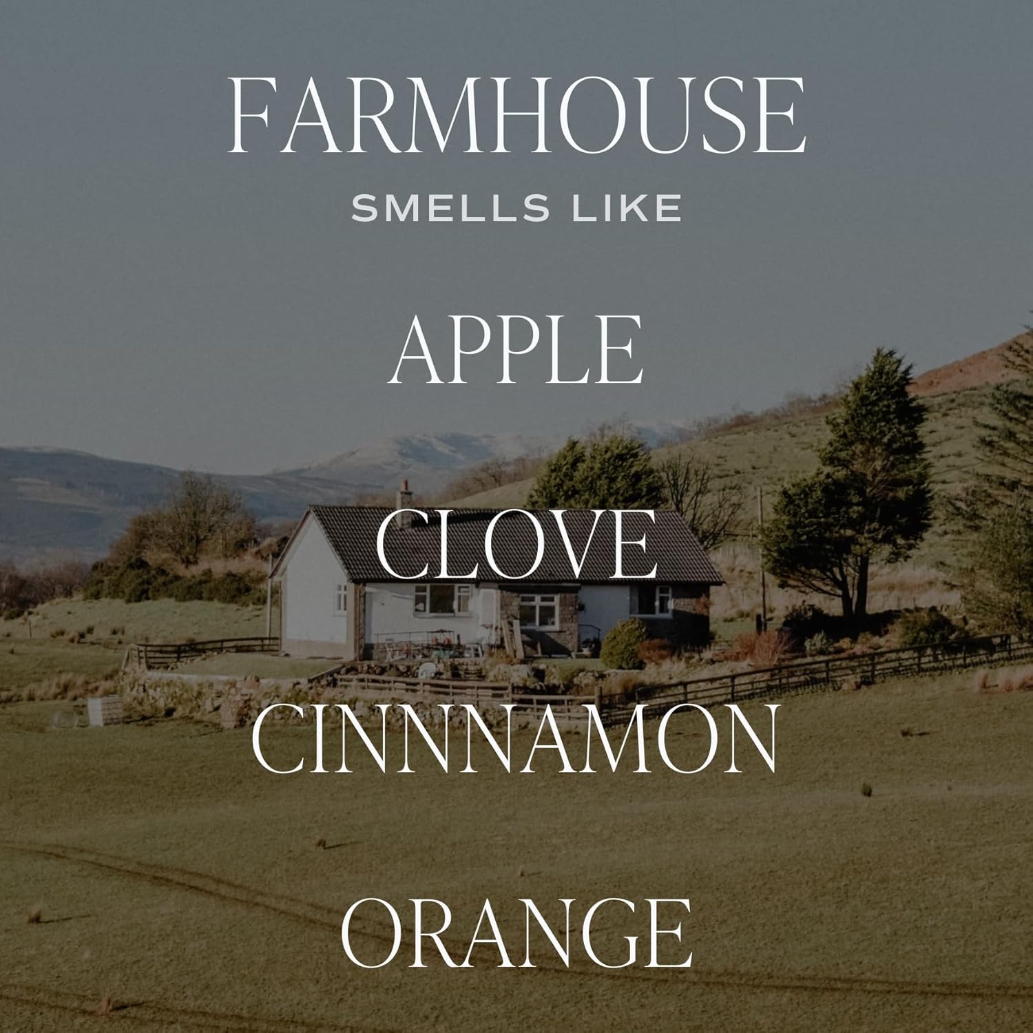 Sweet Water Decor Cashmere and Vanilla Scented Soy Candles – Milky Coconut, Jasmine, Soft Cashmere, Exotic Musk – Cozy Aroma – 50 Hour Burn – 12oz Tinted Glass Jar for Home Decor and Bedroom Decor