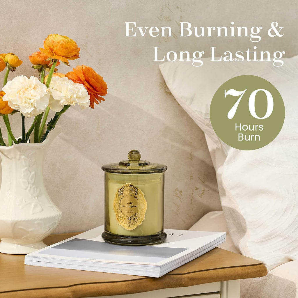 M&SENSE Sage Eucalyptus Candles for Home Scented, 2 Wick 12.7oz Soy Wax Candles Non Toxic,70 Hours Long Burning,Christmas Candles Gift for Stress Relief, Meditation, Yoga