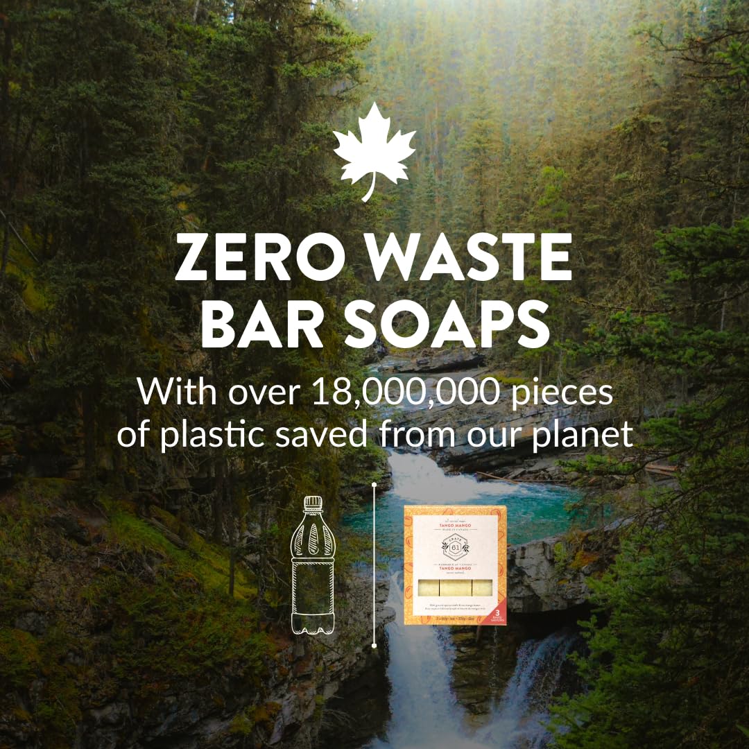 Crate 61 Organics, Handmade in Canada, Plant Based Natural Bar Soap Cold Pressed For Face & Body, w/Premium Essential Oils, For Men & Women 3 Pack (Ginger Cardamom)