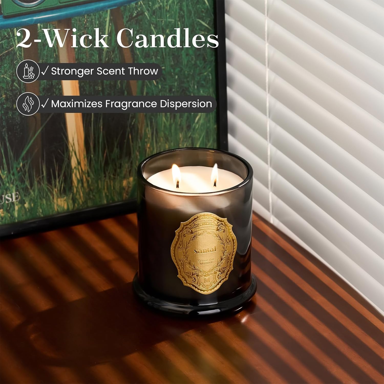 M&SENSE Sage Eucalyptus Candles for Home Scented, 2 Wick 12.7oz Soy Wax Candles Non Toxic,70 Hours Long Burning,Christmas Candles Gift for Stress Relief, Meditation, Yoga