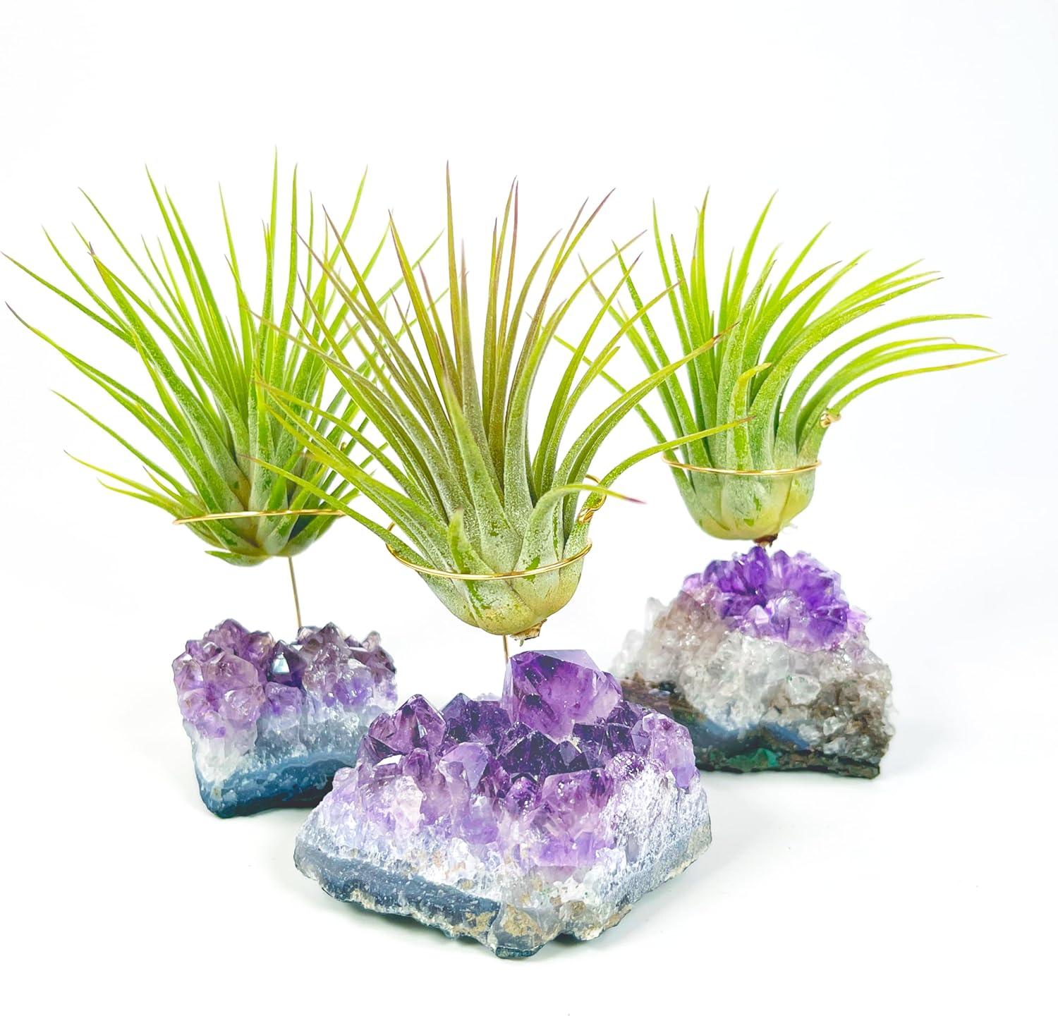Set of 3 Mini Amethyst Crystal Air Plant Holders – Includes Healthy Tillandsia, Ready-to-Gift Home Décor for Women, Birthdays and Housewarming