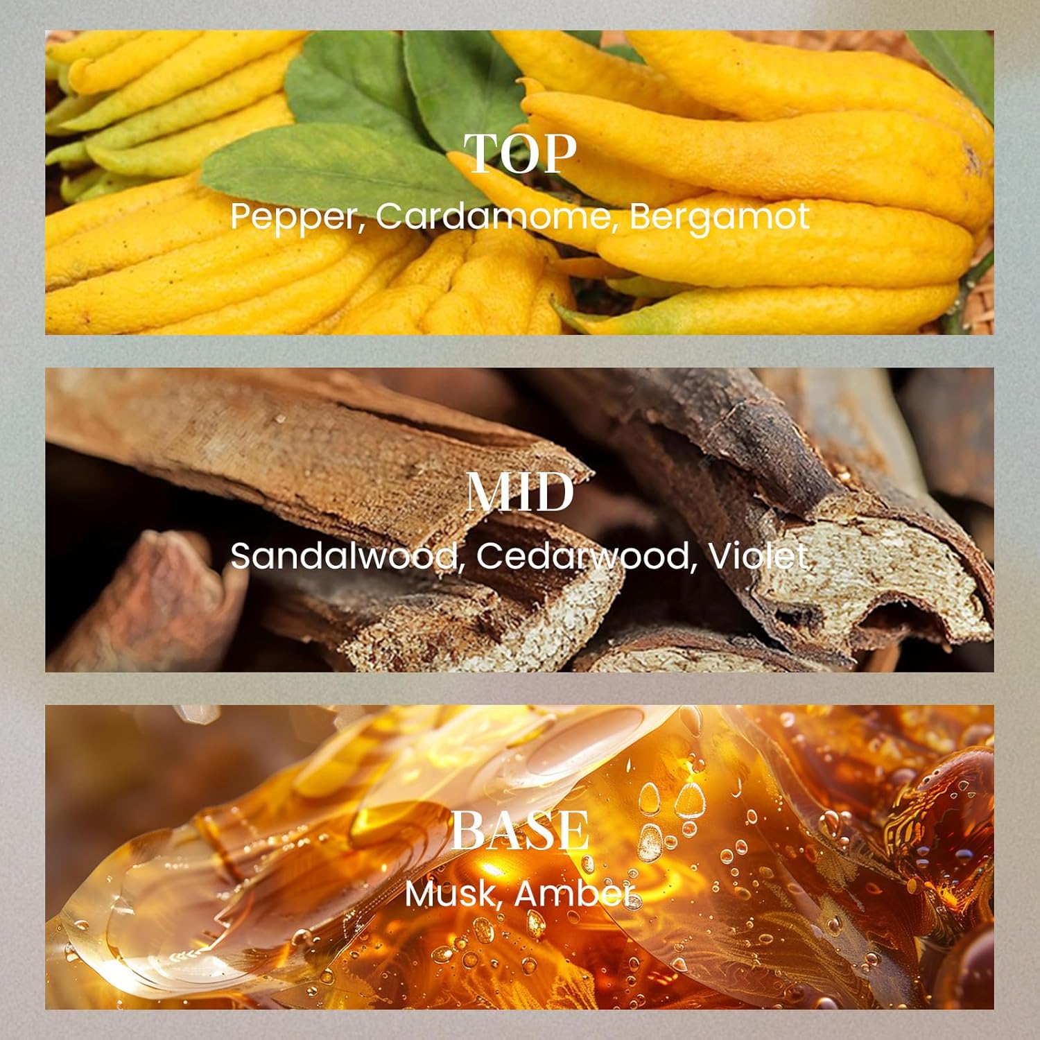 M&SENSE Sage Eucalyptus Candles for Home Scented, 2 Wick 12.7oz Soy Wax Candles Non Toxic,70 Hours Long Burning,Christmas Candles Gift for Stress Relief, Meditation, Yoga