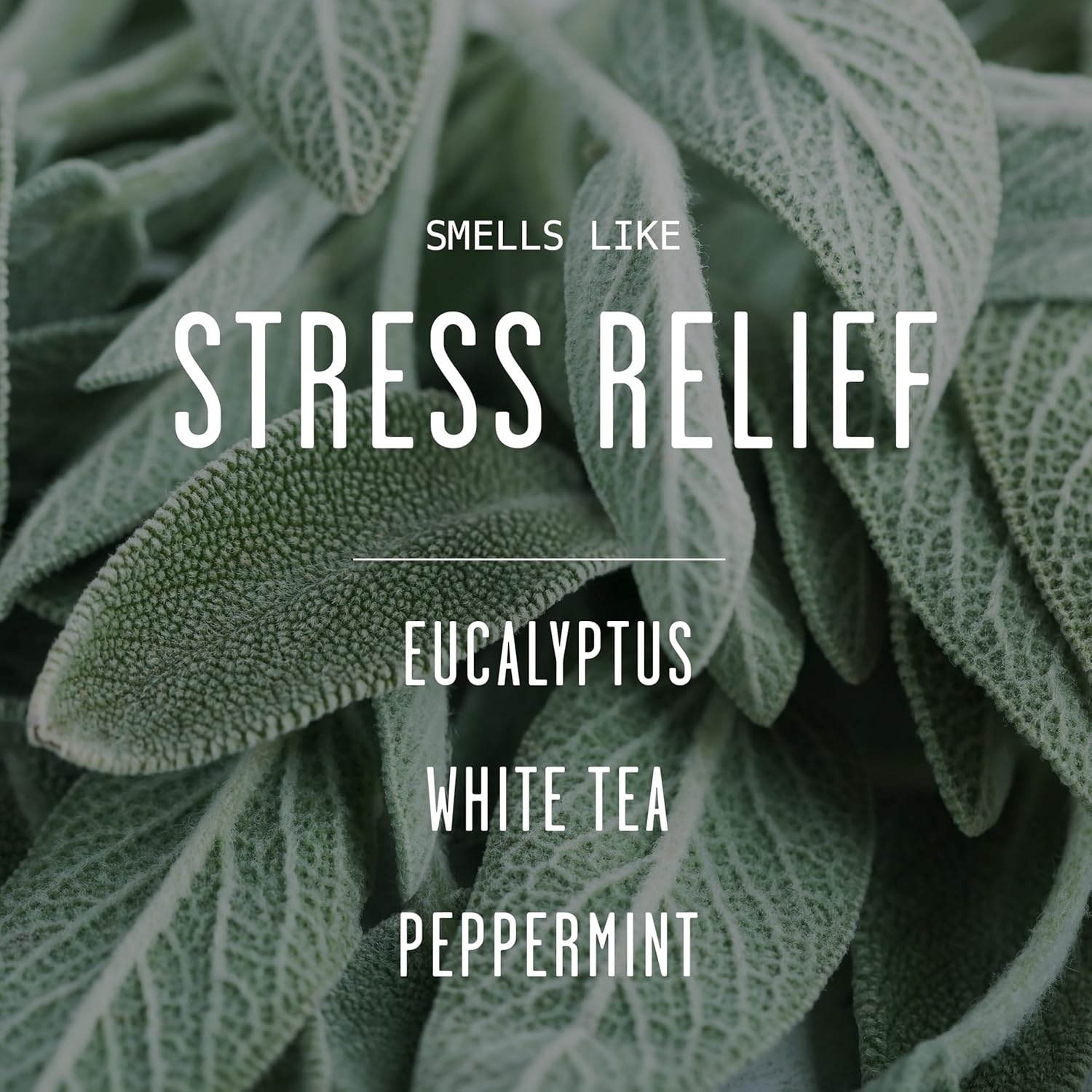 Smoked Vanilla Whiskey Candle - Scented Black Candles for Men or Women - Bourbon, Tobacco & Caramel Soy Wax Mens Candle - Infused w/Essential Oils | Long 50Hr Burn,9oz I Non Toxic I Made in USA