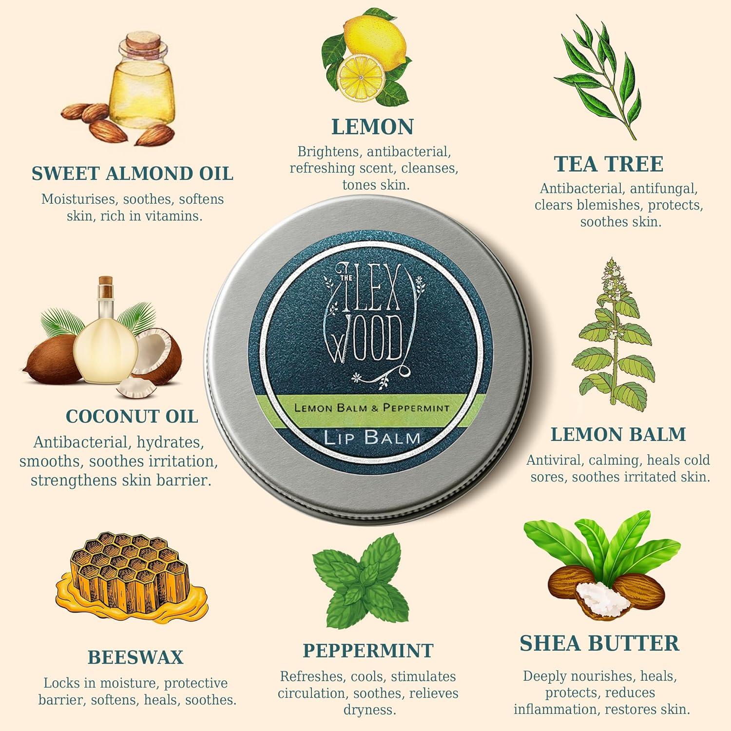 The Ilex Wood - All Natural Lip Balm - Lemon Balm and Peppermint - Cold Sore Treatment for Lips, Palm Oil Free, Cruelty Free, Plastic Free, Moisturising Lip Balm, Handcrafted - 10ml (0.34 fl oz)