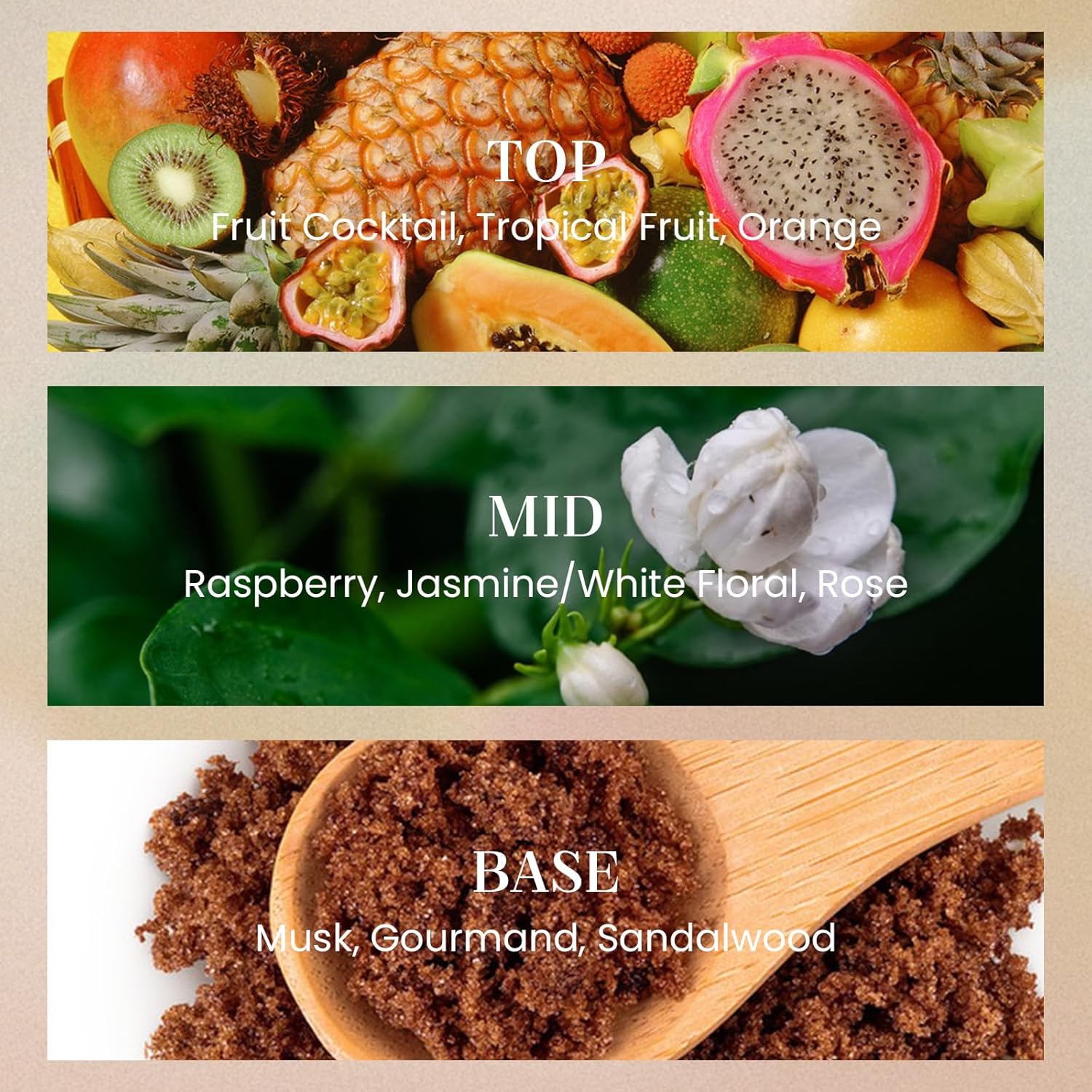 M&SENSE Sage Eucalyptus Candles for Home Scented, 2 Wick 12.7oz Soy Wax Candles Non Toxic,70 Hours Long Burning,Christmas Candles Gift for Stress Relief, Meditation, Yoga