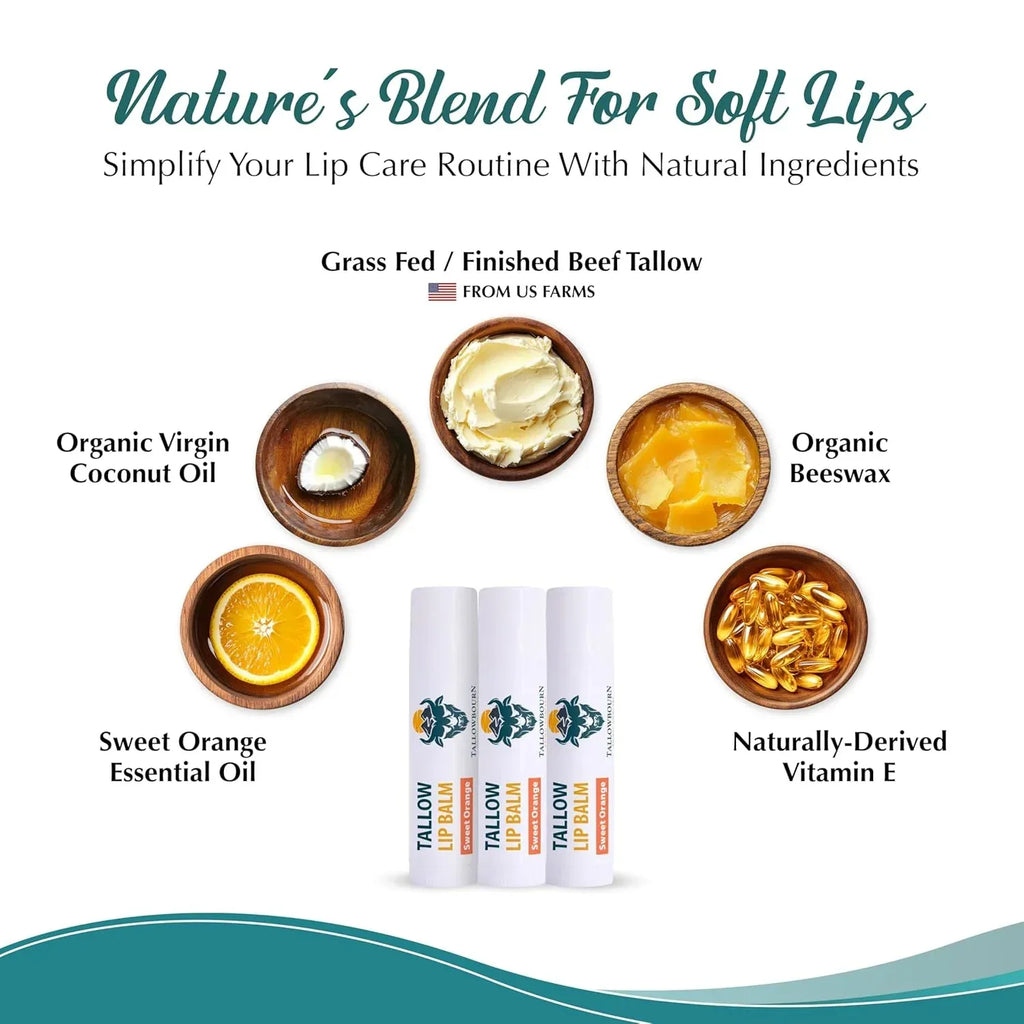 Moisturizing Tallow Lip Balm – Grass-Fed Beef Tallow with Organic Coconut Oil, Beeswax, and Vitamin E – Lip Balm Set – Variety Pack – Travel Essential – 3-Pack - Handmade Lifestyle Shop