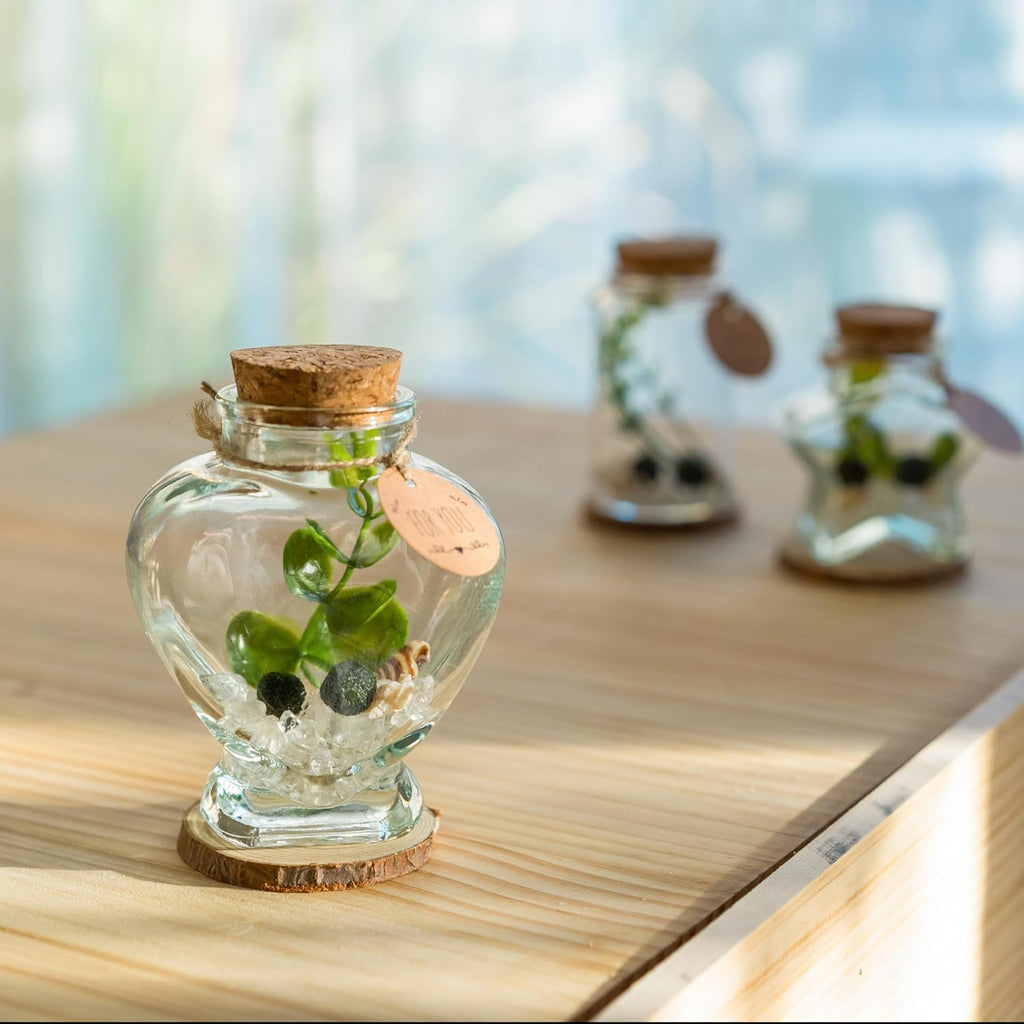 Moss Pebbles Balls Heart Glass Terrarium Kit with 2Pcs Small Moss Balls, Lucky White Crystal, Artificial Plant for Tabletop Decoration