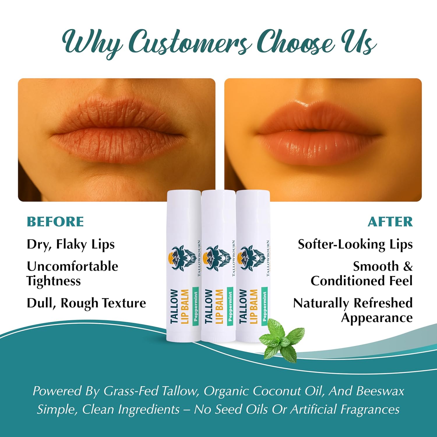 Moisturizing Tallow Lip Balm – Grass-Fed Beef Tallow with Organic Coconut Oil, Beeswax, and Vitamin E – Lip Balm Set – Variety Pack – Travel Essential – 3-Pack