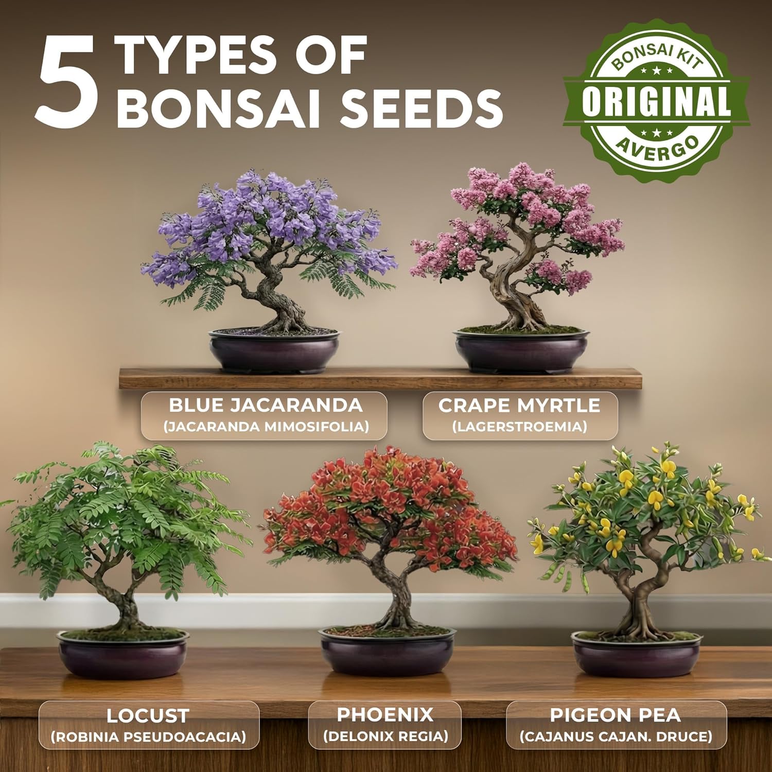 Bonsai Tree Kit for Beginners – 5X Unique Japanese Bonzai Trees | Complete Indoor Bonsai Starter Kit for Growing Bonsai Plants with Tools & Planters – DIY Gardening Gifts for Women & Men