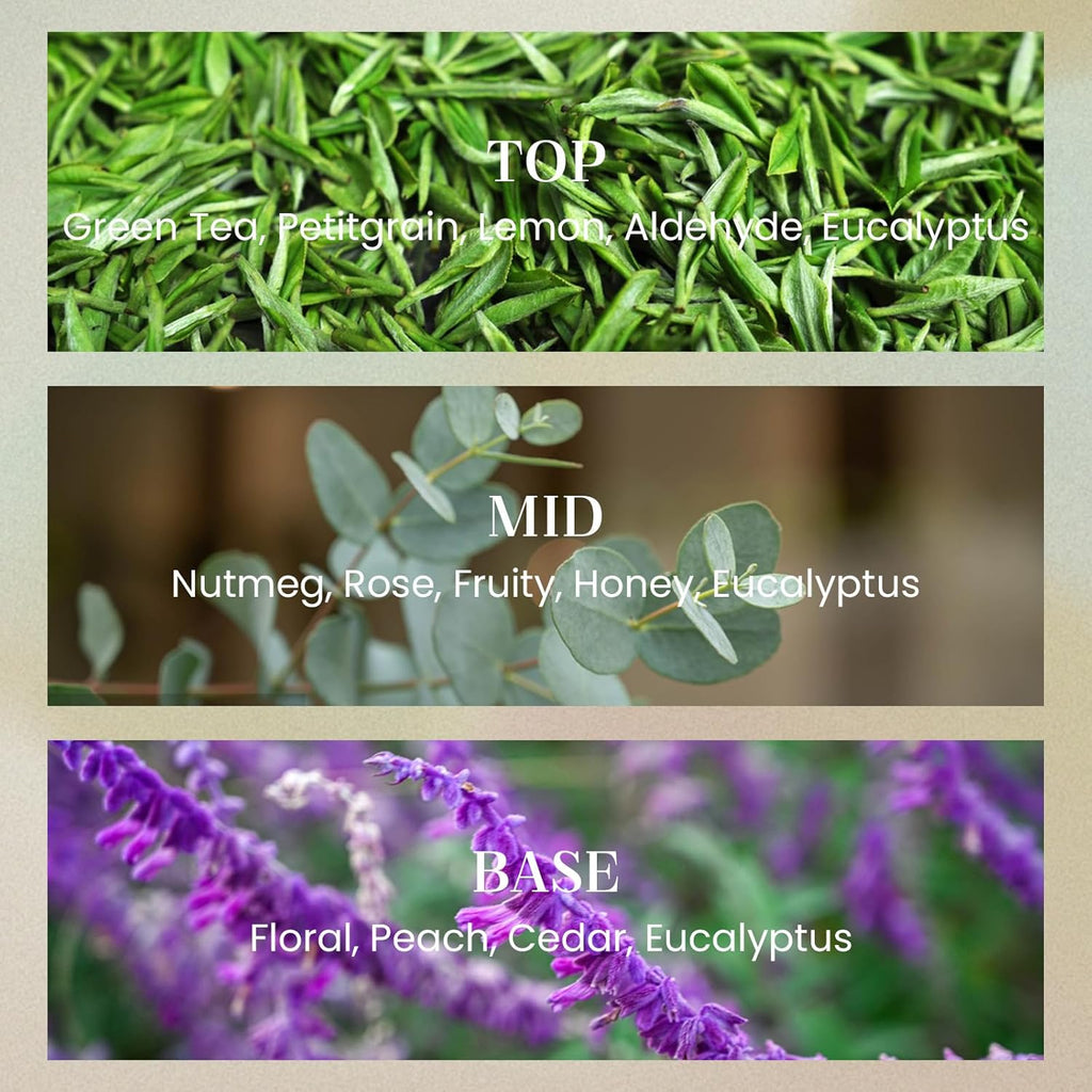 M&SENSE Sage Eucalyptus Candles for Home Scented, 2 Wick 12.7oz Soy Wax Candles Non Toxic,70 Hours Long Burning,Christmas Candles Gift for Stress Relief, Meditation, Yoga