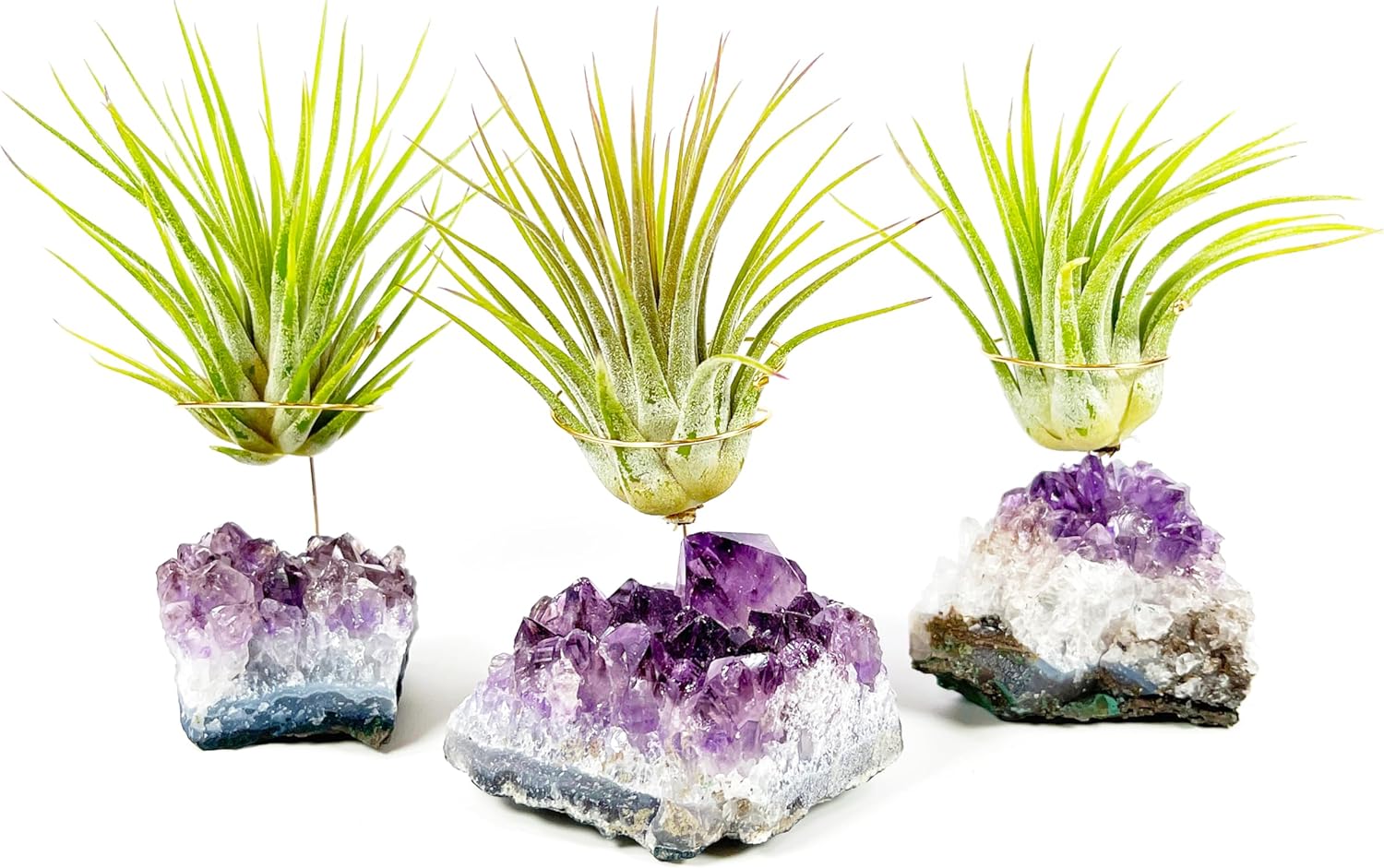 Set of 3 Mini Amethyst Crystal Air Plant Holders – Includes Healthy Tillandsia, Ready-to-Gift Home Décor for Women, Birthdays and Housewarming