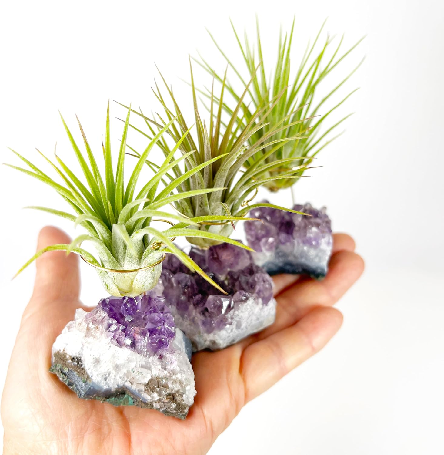 Set of 3 Mini Amethyst Crystal Air Plant Holders – Includes Healthy Tillandsia, Ready-to-Gift Home Décor for Women, Birthdays and Housewarming