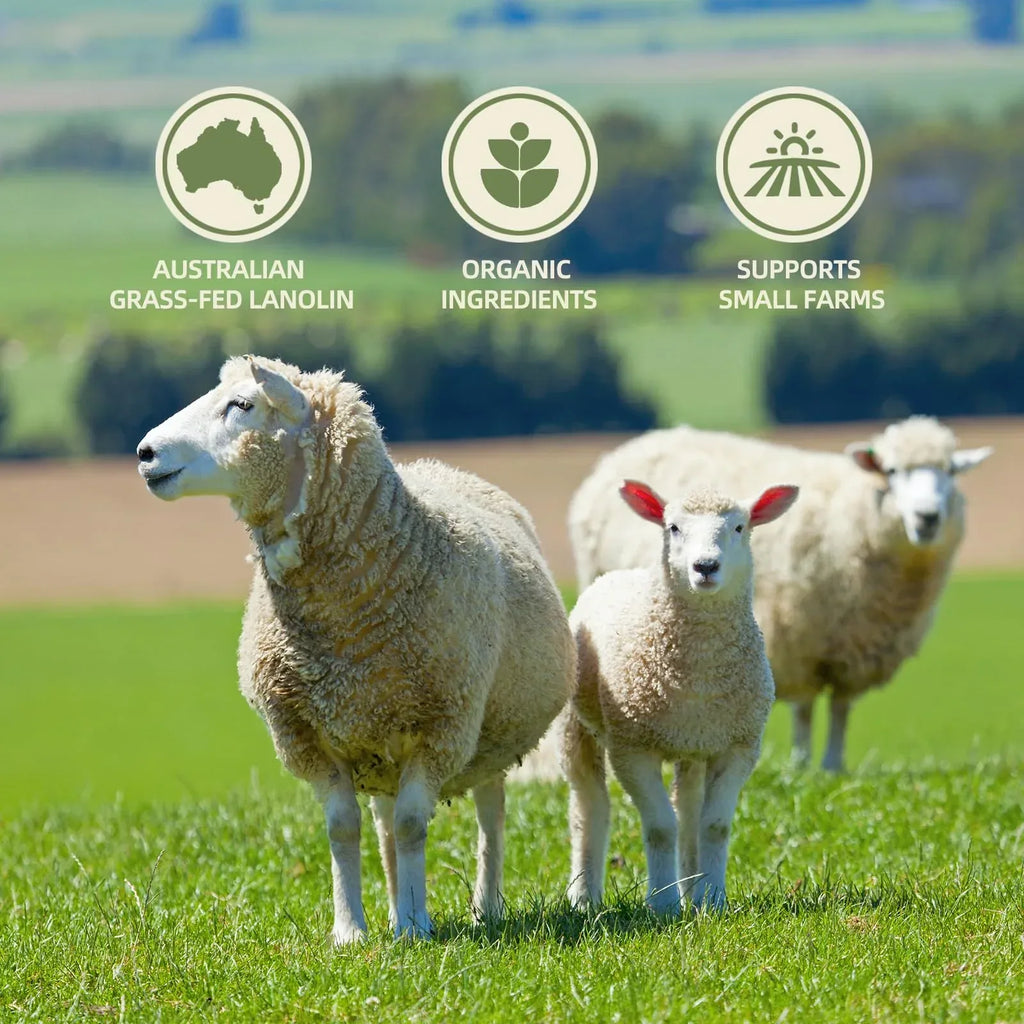 CHIALING Handmade Lanolin - 100% Pure Natural Australian Lanolin Cream - Made in USA - USP Grade Moisturizer for Dry/Cracked Skin, Nipple Discomfort, Lip Hydration & Eczema | Unscented, Additive-Free(3.5 oz) - Handmade Lifestyle Shop