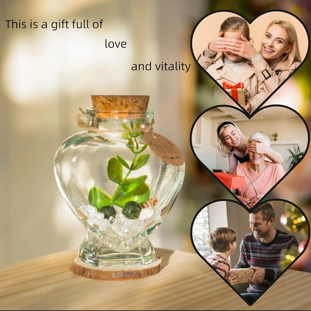 Moss Pebbles Balls Heart Glass Terrarium Kit with 2Pcs Small Moss Balls, Lucky White Crystal, Artificial Plant for Tabletop Decoration