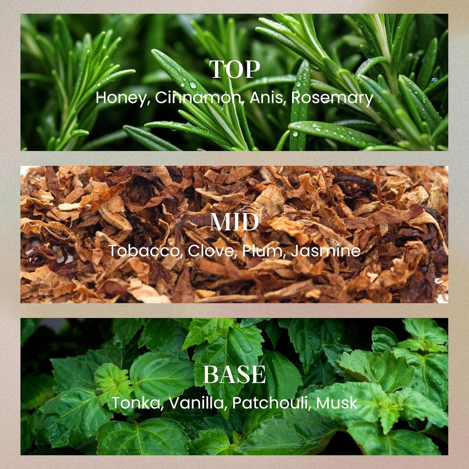 M&SENSE Sage Eucalyptus Candles for Home Scented, 2 Wick 12.7oz Soy Wax Candles Non Toxic,70 Hours Long Burning,Christmas Candles Gift for Stress Relief, Meditation, Yoga