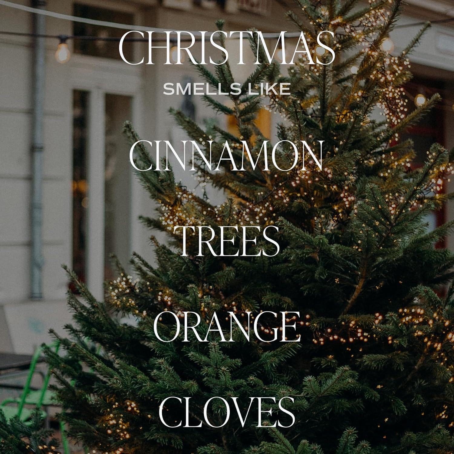 Sweet Water Decor Warm and Cozy Soy Candle - Orange Peel, Cinnamon, Ginger and Clove Scented Candles for Home - 9oz Amber Jar + Black Lid, 40+ Hour Burn Time, Made in The USA