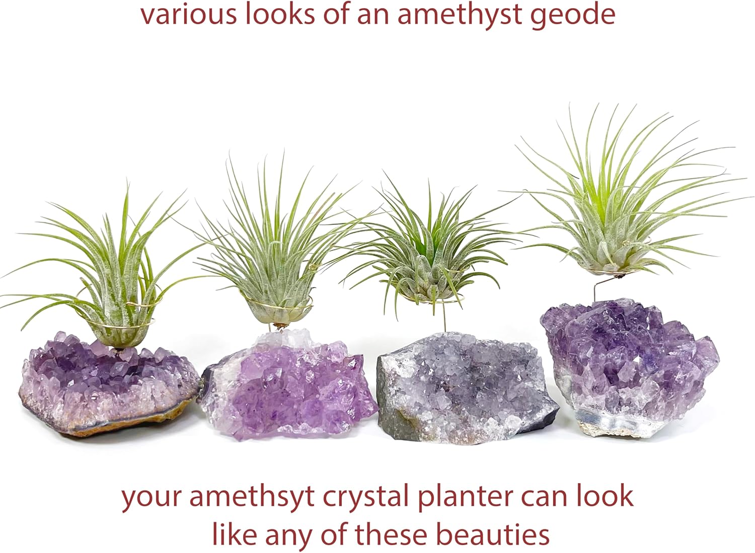 Set of 3 Mini Amethyst Crystal Air Plant Holders – Includes Healthy Tillandsia, Ready-to-Gift Home Décor for Women, Birthdays and Housewarming