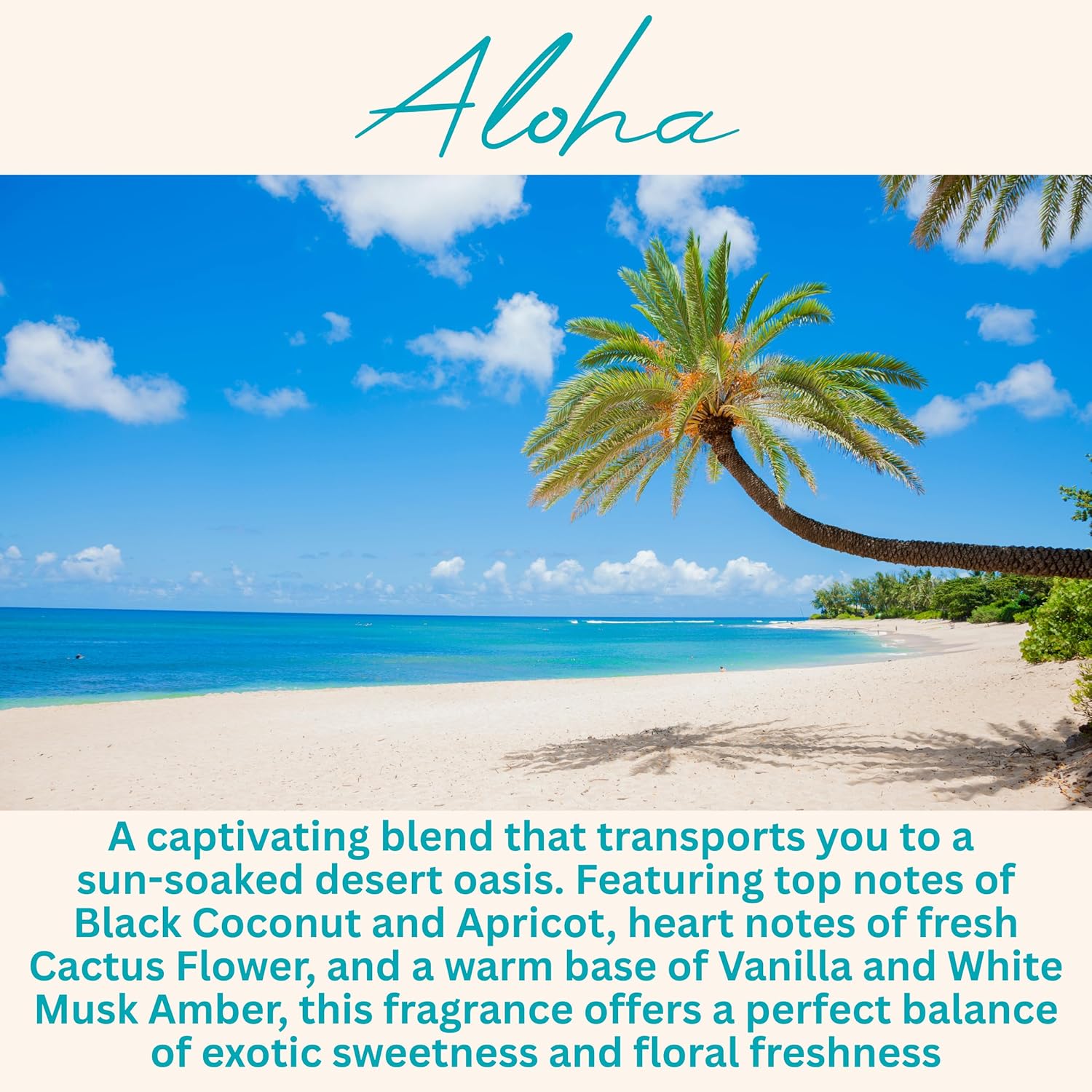 Wickless Vanilla Candles for Candle Warmer Lamp, Many Scents to Choose, 100% Non-Toxic Soy Wax, Scented Candle Melts for Warming Plate, Handmade in The USA (Velvet Vanilla)