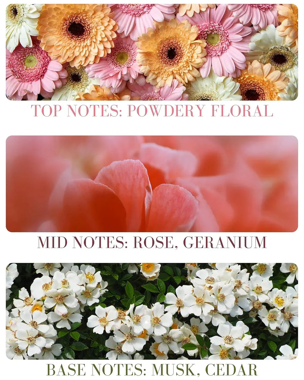 Baby Powder Natural Hair & Body Mist Spray, Pure Essential and Fragrance Oils, Alcohol-Free, Handmade in California, 0.5Fl Oz - Handmade Lifestyle Shop