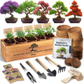 Bonsai Tree Kit for Beginners – 5X Unique Japanese Bonzai Trees | Complete Indoor Bonsai Starter Kit for Growing Bonsai Plants with Tools & Planters – DIY Gardening Gifts for Women & Men