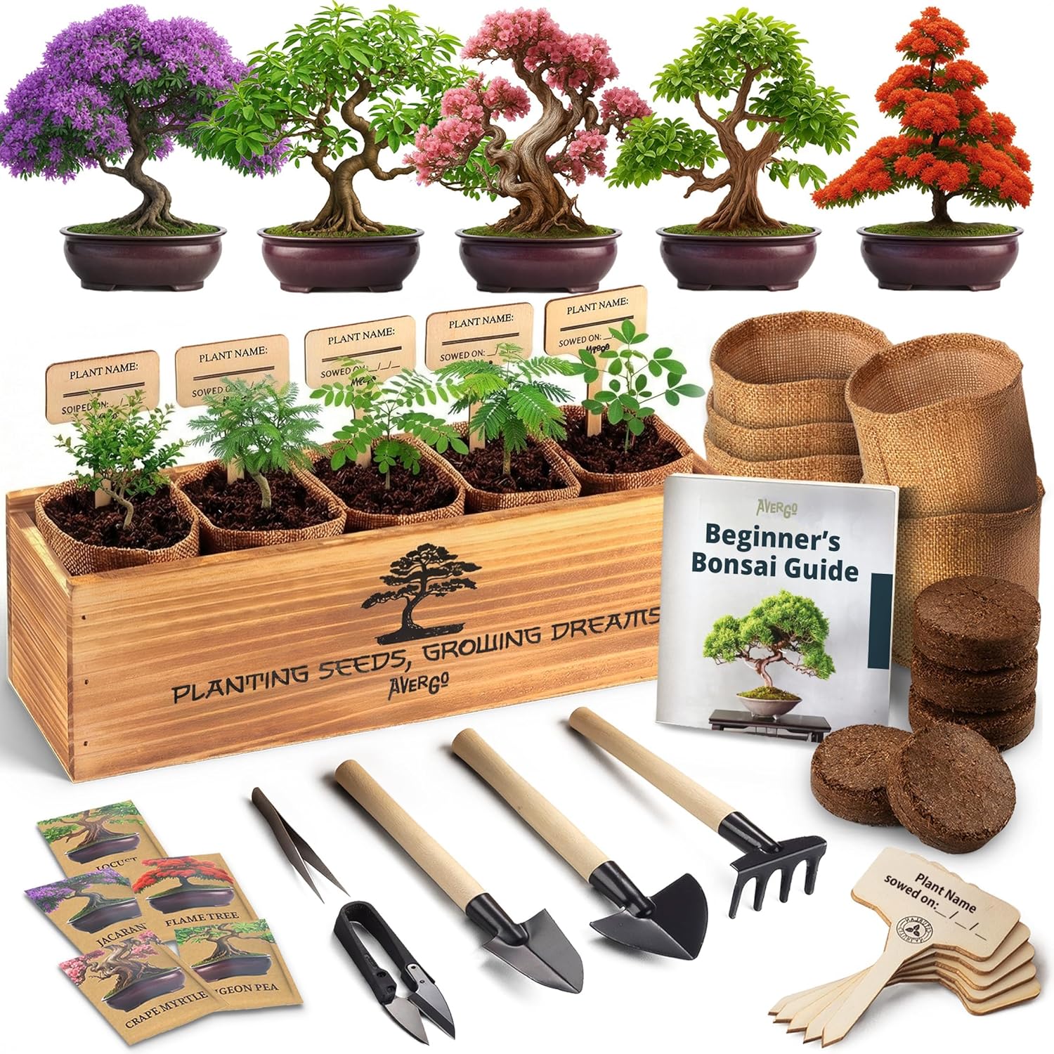 Bonsai Tree Kit for Beginners – 5X Unique Japanese Bonzai Trees | Complete Indoor Bonsai Starter Kit for Growing Bonsai Plants with Tools & Planters – DIY Gardening Gifts for Women & Men