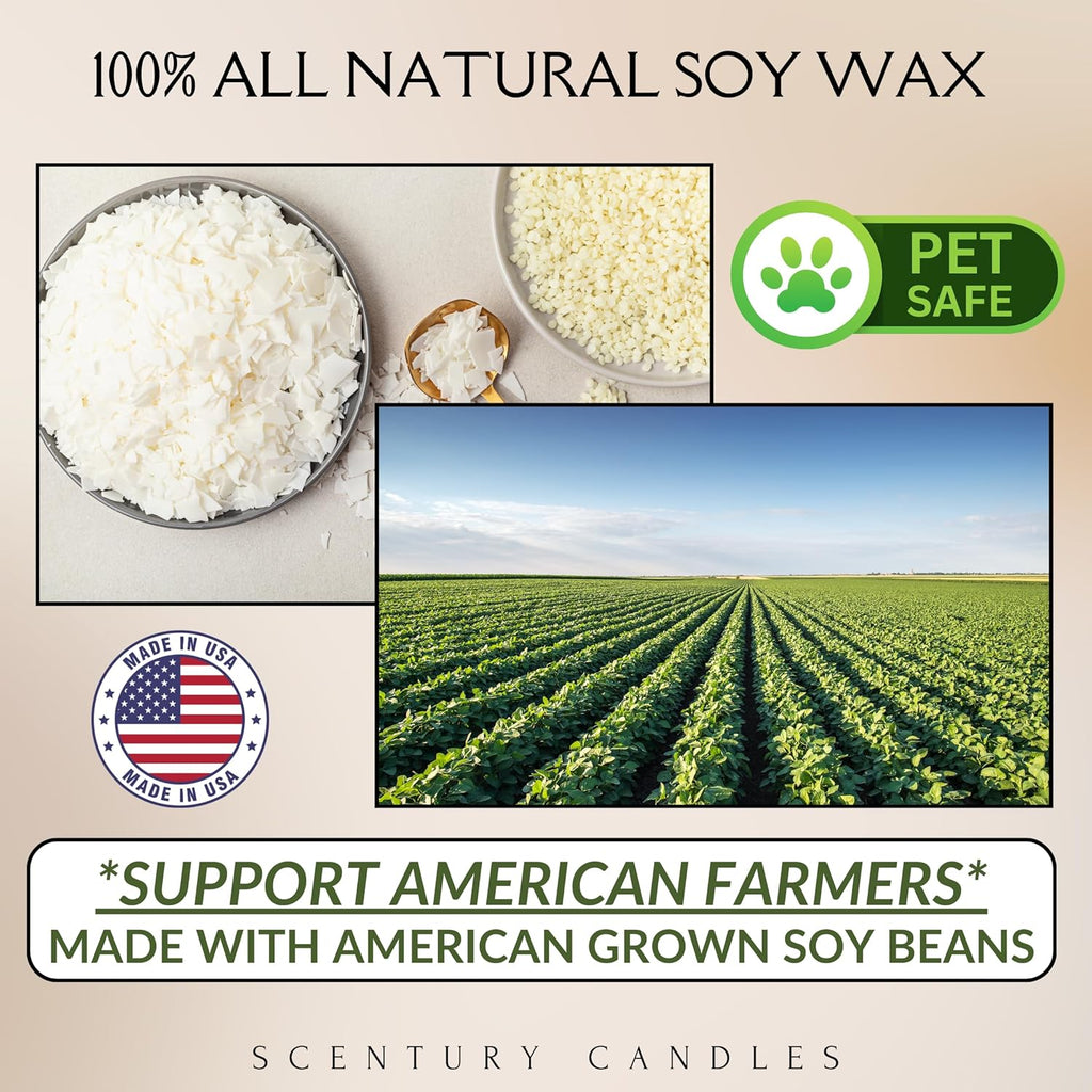 Wickless Vanilla Candles for Candle Warmer Lamp, Many Scents to Choose, 100% Non-Toxic Soy Wax, Scented Candle Melts for Warming Plate, Handmade in The USA (Velvet Vanilla)