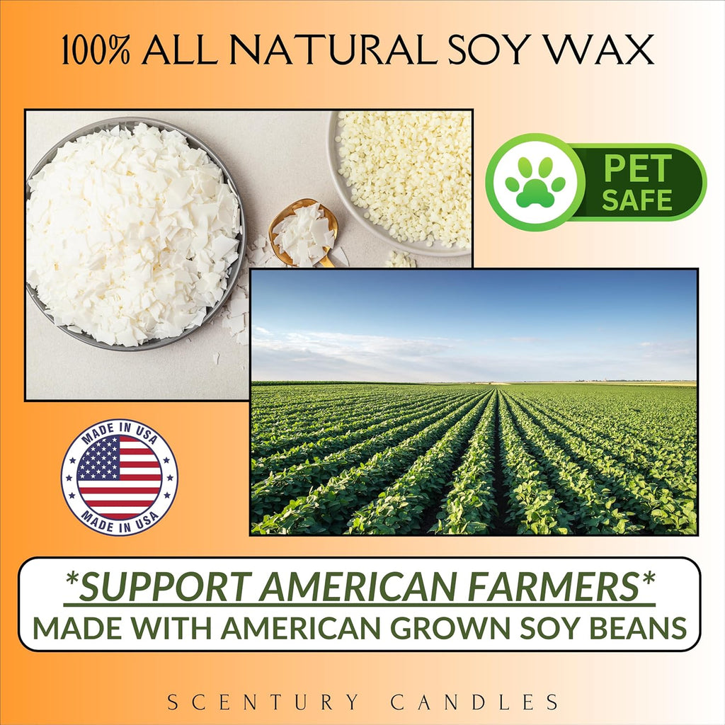 Wickless Vanilla Candles for Candle Warmer Lamp, Many Scents to Choose, 100% Non-Toxic Soy Wax, Scented Candle Melts for Warming Plate, Handmade in The USA (Velvet Vanilla)