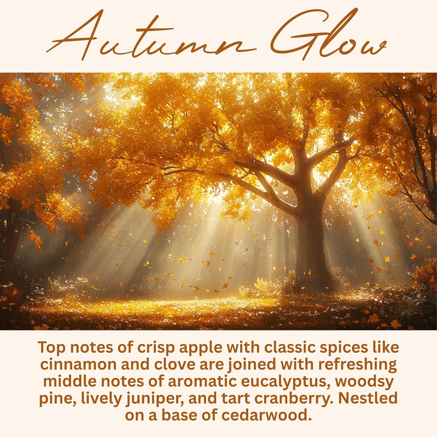 Wickless Vanilla Candles for Candle Warmer Lamp, Many Scents to Choose, 100% Non-Toxic Soy Wax, Scented Candle Melts for Warming Plate, Handmade in The USA (Velvet Vanilla)